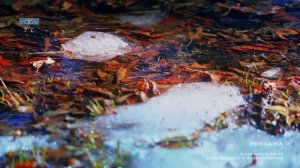 Новости ТВИН 26.03.2026