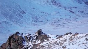 Снежный барс на склонах хребта Южно-Чуйский