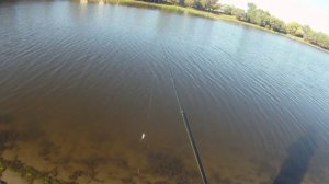 Работа воблера Хариус от СР