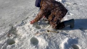 26.03.26 г. РК Волна.