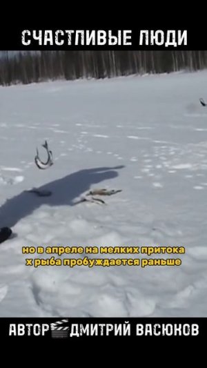 Счастливые Люди 🎯🎣