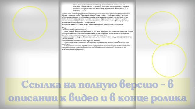 "Строение мочевыделительной системы. Процесс образования мочи". Лекция.