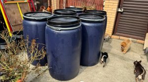 Радость садовода - получила бочки, очень даже хорошие.