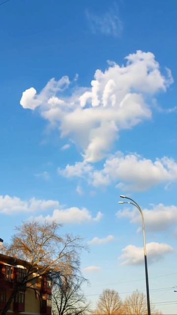 Это знак от Goodline