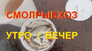 Смоленский рыбхоз на ДВХ утро / вечер!?