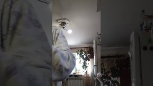 2 часть готовим мокороны