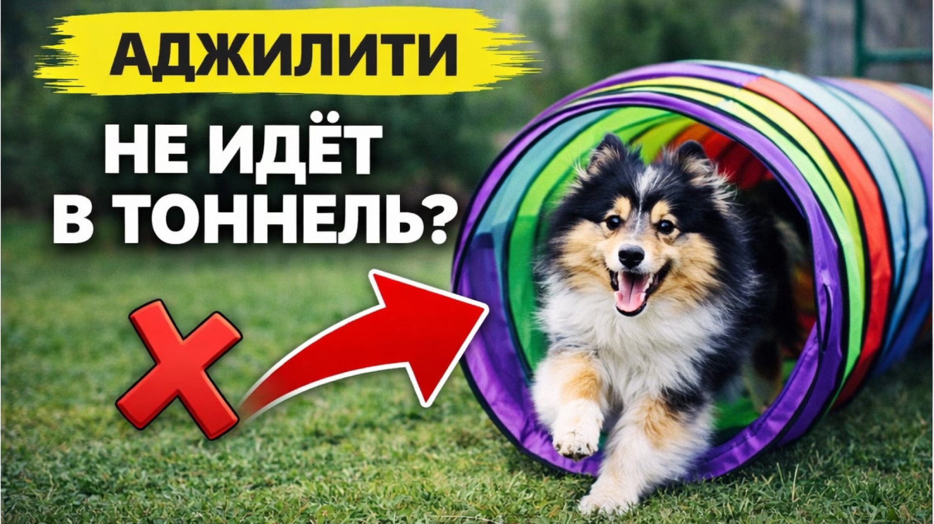 АДЖИЛИТИ | Учим ТОННЕЛЬ