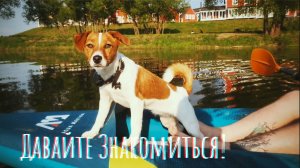 Ну давайте, давайте знакомиться!
— Не надо… Я вас боюсь…