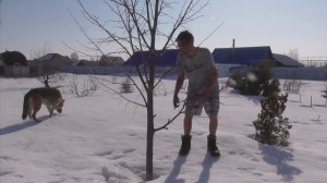 Мой фильм  Кашу сварили, покушали и на огороде были...