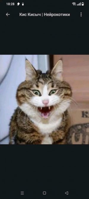 как играть в догонялки лайфаки