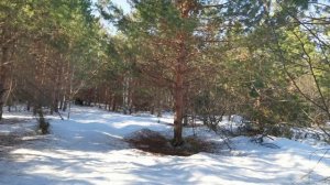 Снег заблокировал дорогу для бега