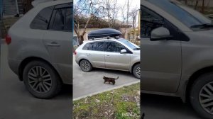 Симферополь 7 марта 2026 года