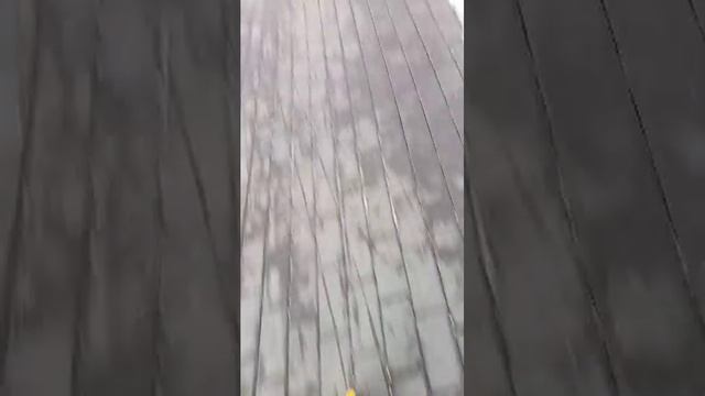 стрим смотреть онлайн