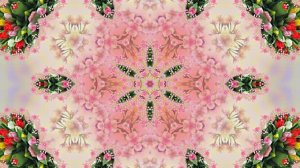 Весна! Очаровательные тюльпаны 6! Киностудия Мудрого Кота Тимофея!