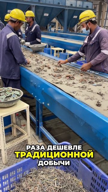 #3 Будущее труда_ Роботы и микробы заменят человека!