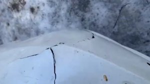 Бампер передний Toyota Land Cruiser Prado 150 тойота Ланд крузер Прадо   20421