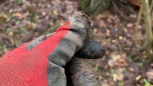 Царские находки.  Думал померещилось