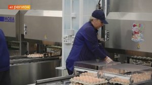 НОВЫЙ ПТИЧНИК НА 39 ТЫСЯЧ МЕСТ ПЛАНИРУЮТ ОТКРЫТЬ НА ПТИЦЕФАБРИКЕ «ПИОНЕРСКОЕ» • НОВОСТИ КАМЧАТКИ