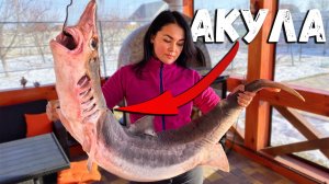 Зажарила 15кг АКУЛЫ на Мангале! Рецепт Вкусного шашлык из Акулы КАТРАН