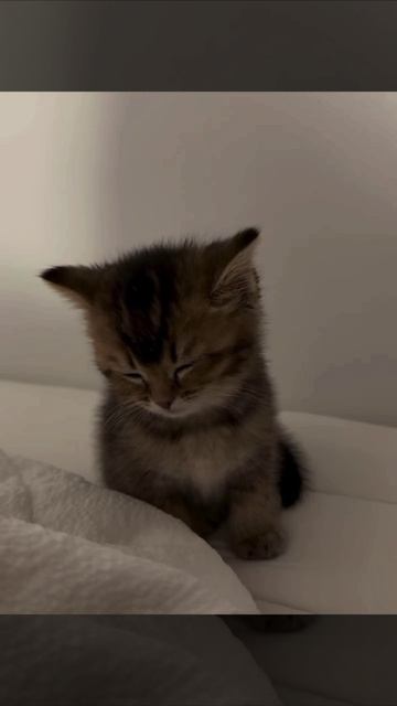 Не проснутый и не выспатый😴