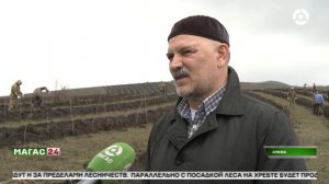 В Ингушетии стартовала масштабная работа в рамках федерального проекта «Сохранение лесов»