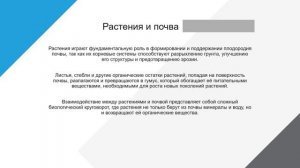 ЭОП 341 группа -27.03.26.Почвенная среда