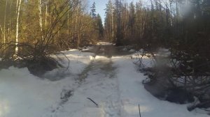 Таменгонские болота