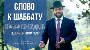 Слово к шаббату Цав - Шаббат а-Гадоль - от раввина Элиэзера Райхмана