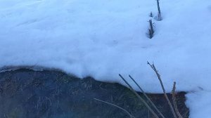 Утро, кругом вода.