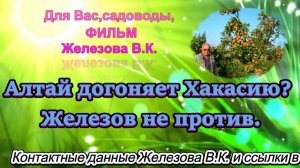 Алтай догоняет Хакасию? Железов не против.