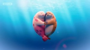 Морские Котики: в 4K 🎥