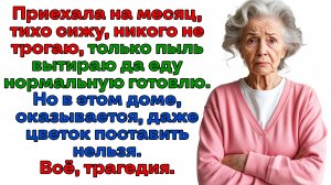 Свекровь тащила в мою квартиру хлам! Вынесла ее вместе с мусором! | Женские истории | Аудиорассказ