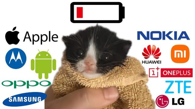 МЕМНЫЙ КОТИК ПОЁТ РАЗНЫЕ МЕЛОДИИ ИЗ ТЕЛЕФОНОВ РИНГТОНЫ! ПОДБОРКА МЕМНОГО КОТИКА МЯУ РЕАКЦИЯ