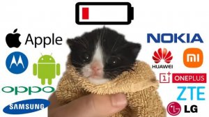 МЕМНЫЙ КОТИК ПОЁТ РАЗНЫЕ МЕЛОДИИ ИЗ ТЕЛЕФОНОВ РИНГТОНЫ! ПОДБОРКА МЕМНОГО КОТИКА МЯУ РЕАКЦИЯ