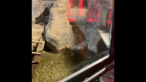 Океанариум