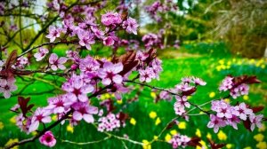 Весна Шатунов Юрий Васильевич Кузнецов Сергей Борисович ДВЕ ЛЕГЕНДЫ 4ПОКОЛЕНИЙ⭐⭐⭐⭐🫶❤️😘🙏😰😰😰