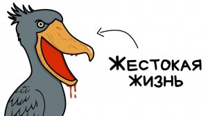 Ты - Китоглав (И ЭТО ПОЛНЫЙ ОТСТОЙ)