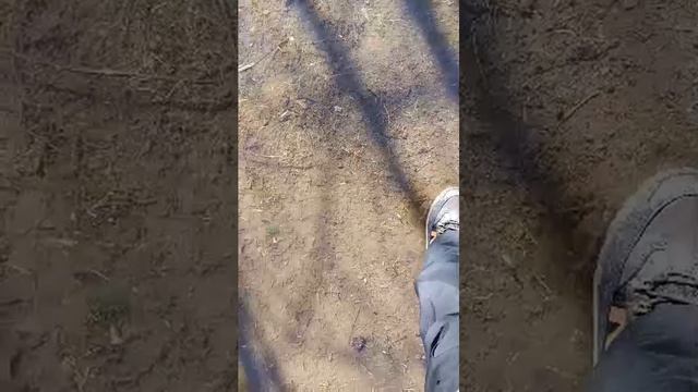 остров эпштейна