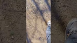 остров эмштейна