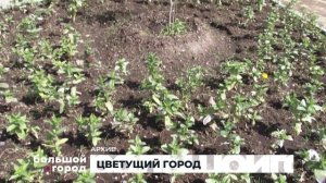 ЦВЕТУЩИЙ ГОРОД. Большой город 26/03/26