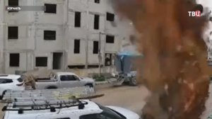 Дурное предзнаменование: тысячи ворон кружат над Тель-Авивом на фоне ударов по Ирану