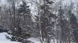 Южно-Сахалинск моими глазами