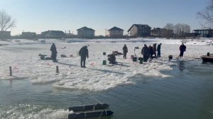 Утренние поиики