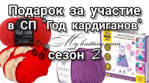 Подарок 🎁🎁🎁 за участие в СП "Год кардиганов" сезон 2. 💕💕💕