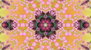 Весна! Очаровательные тюльпаны 9! Киностудия Мудрого Кота Тимофея!