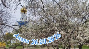 Анапа 26.03.2026