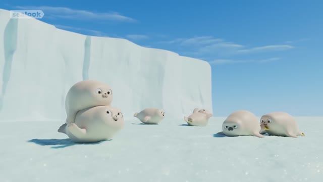 Морские Котики: Счастье! Счастье! Счастье! 🎶 Праздничный микс