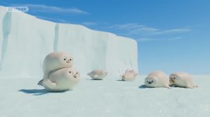 Морские Котики: Счастье! Счастье! Счастье! 🎶 Праздничный микс