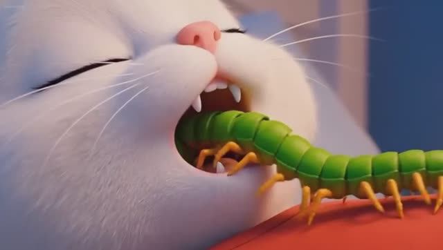 Мультфильм для детей, развивающий, обучающий полезным навыкам.