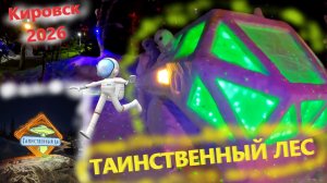 Прогулка по Таинственному лесу зимой 2026!!! Загадочный лес, в котором побывали инопланетяне...